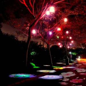 文旅亮化  光影藝術(shù)